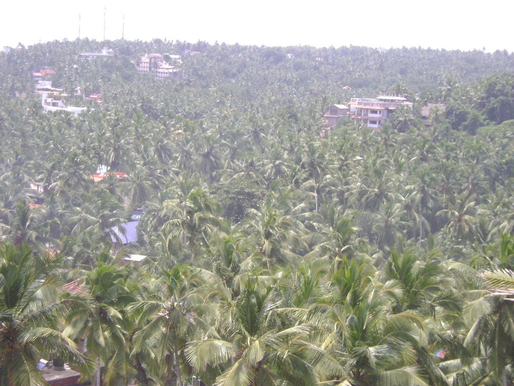 Sun Tara Beach Resort Kovalam Exterior foto